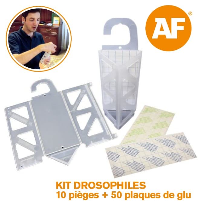 AF 1/2 DIAMOND KIT DROSOPHILES